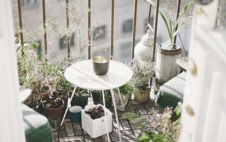 Bringing a pot of nature to every home
