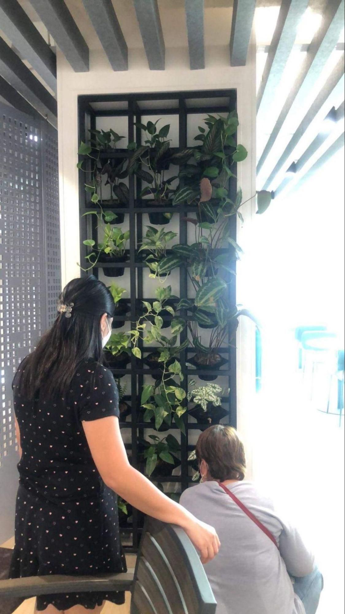 What is Plant Maintenance?