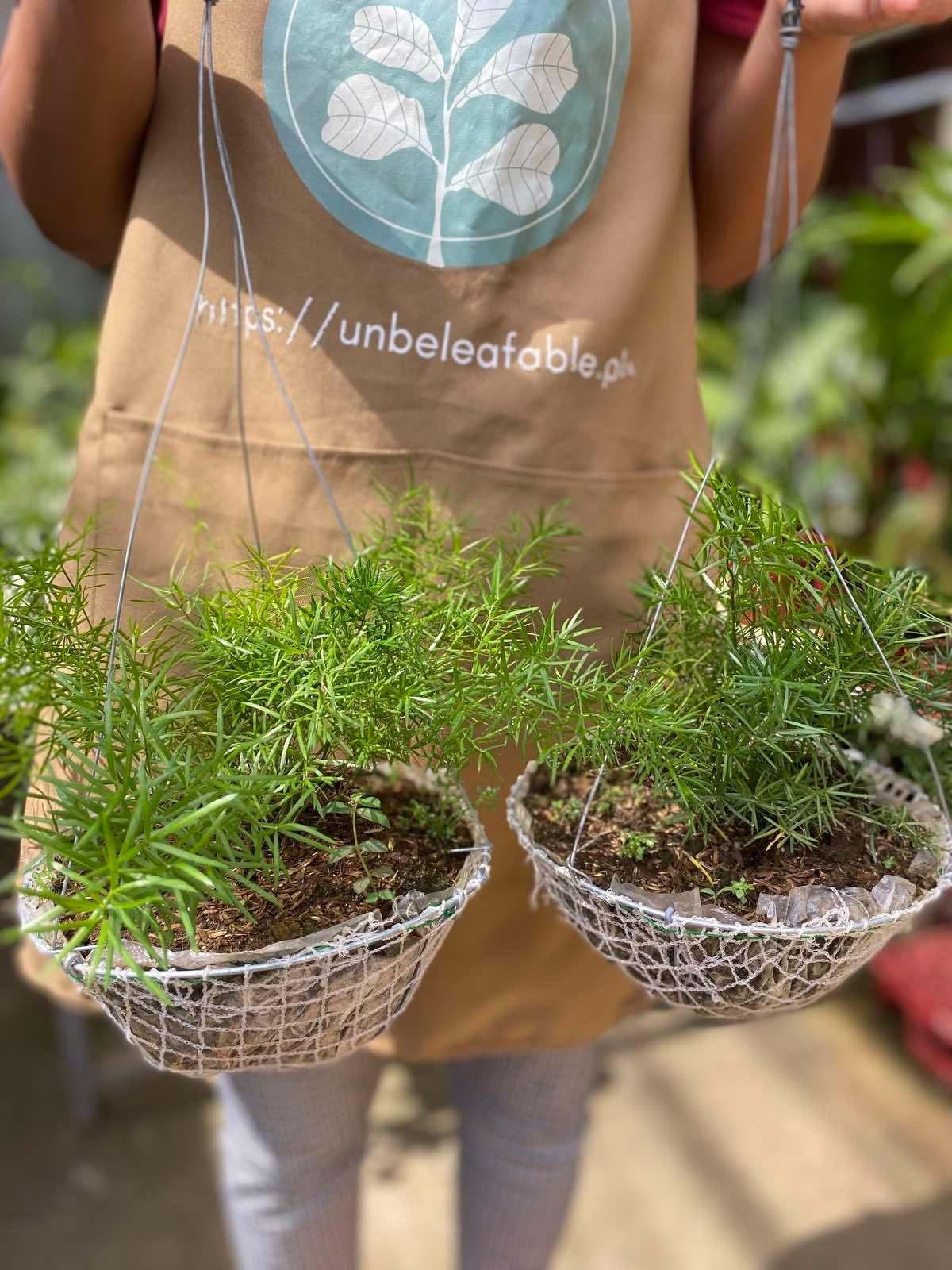 Why Choose Unbeleafable for Your Plant Rental Needs?