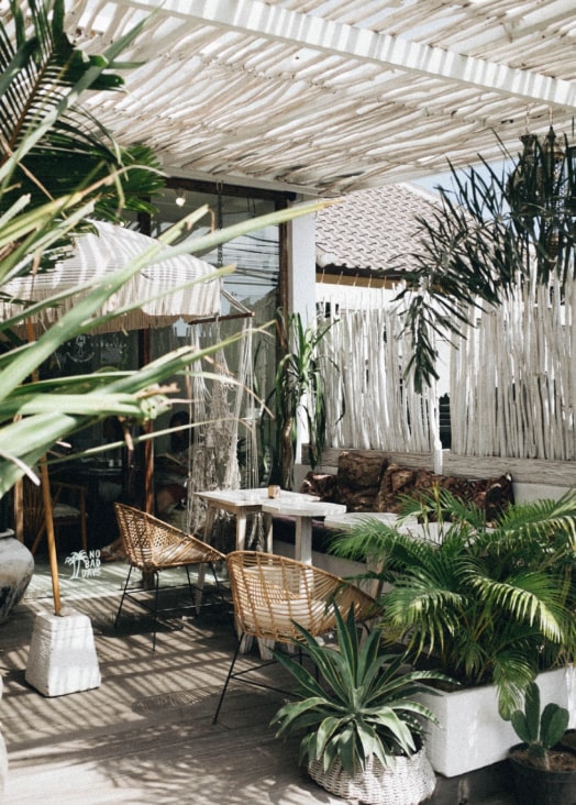 Plant Maintenance | Unbeleafable