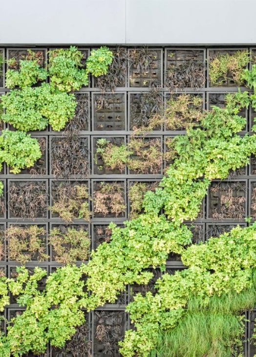 Best Vertical Wall Gardens | Unbeleafable