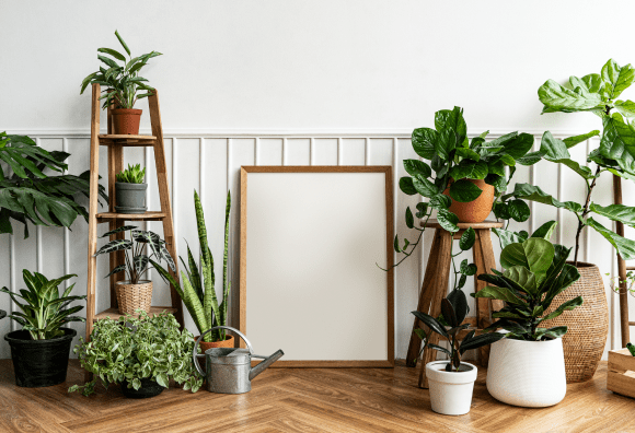 Looks Good Indoors